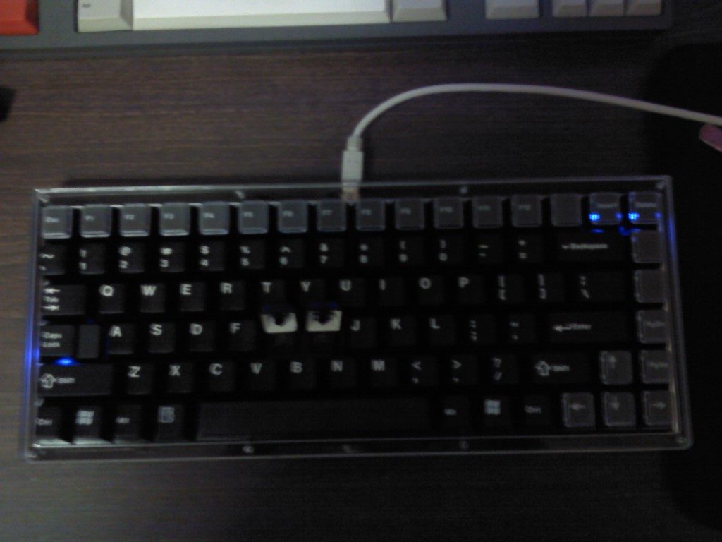 CP100606_002.JPG