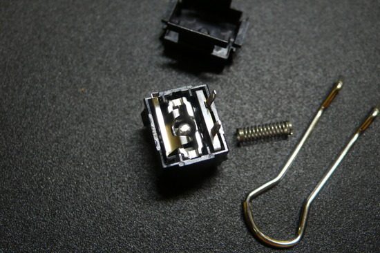 p1050829_ybass6.jpg