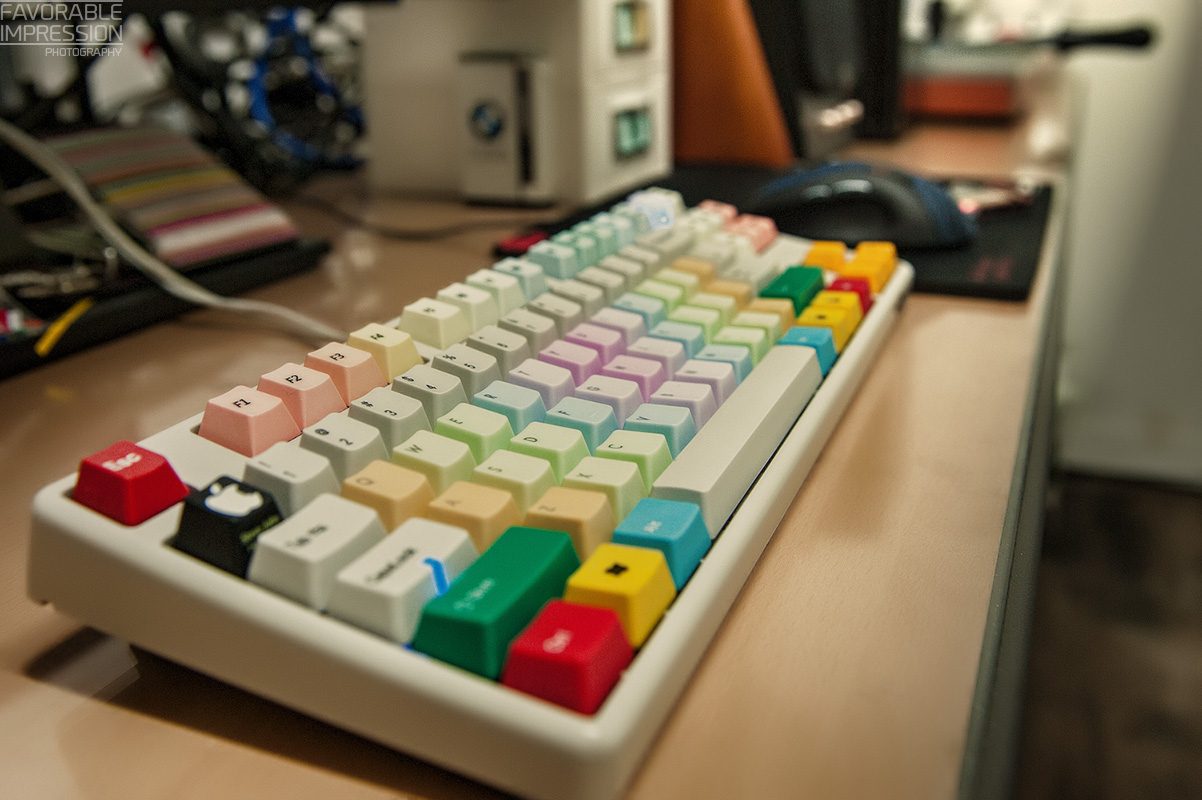 DSC_6284.jpg