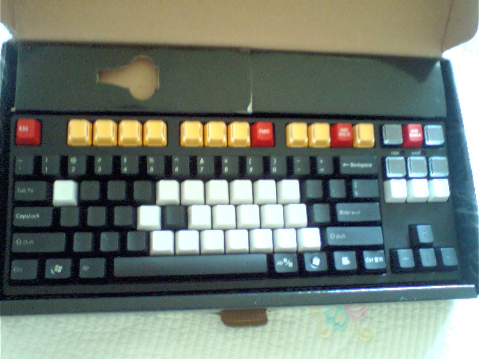 00516_954.jpg