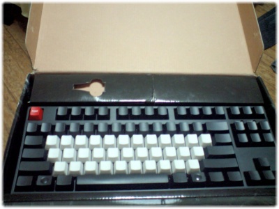 123.jpg