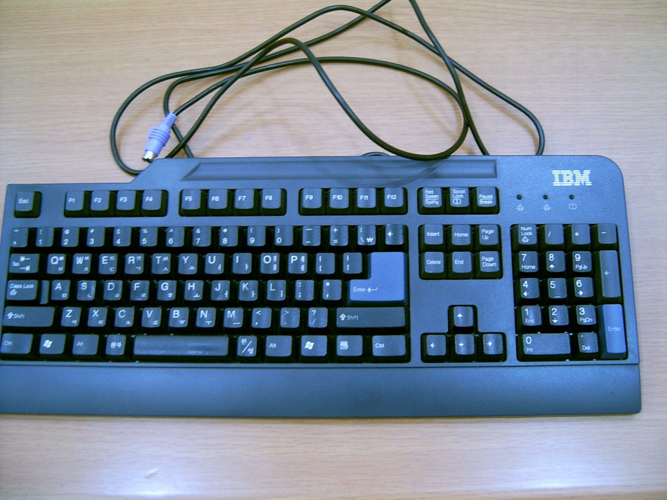 2583848_1.jpg