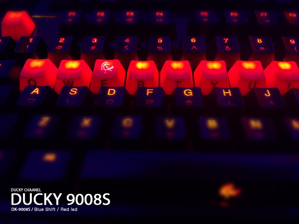 CAM00669s.jpg : 더키 레드키캡