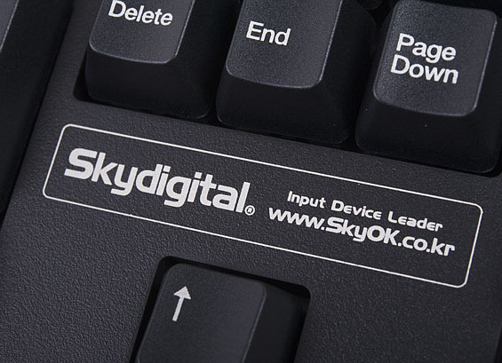 SKY.jpg : 세계최초의 키보드 매스트로 SKY.jpg : 세계최초의 키보드 매스트로