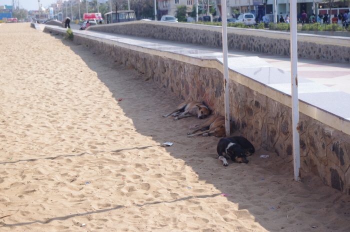 변환IMGP1231.JPG