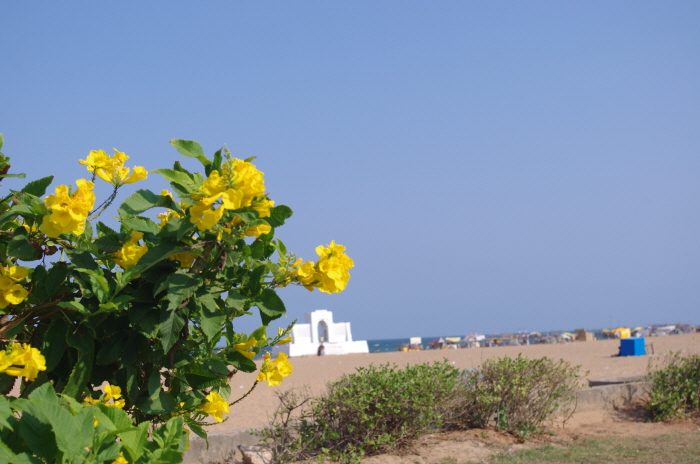 변환IMGP1240.JPG