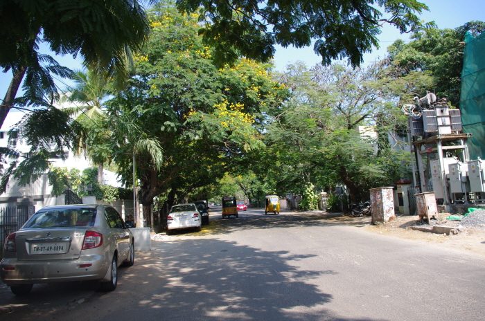 변환IMGP1200.JPG