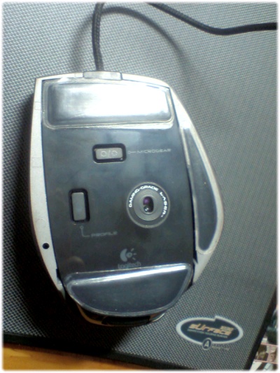 05.jpg