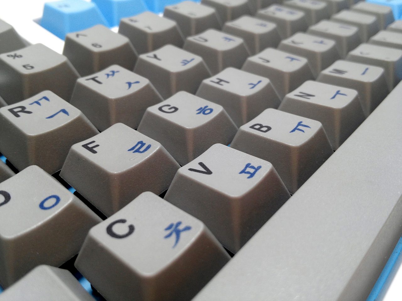 CAM00253.jpg