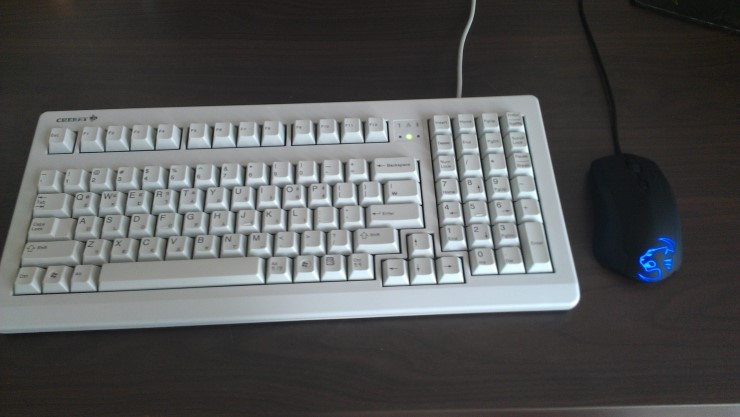 IMAG0266.jpg