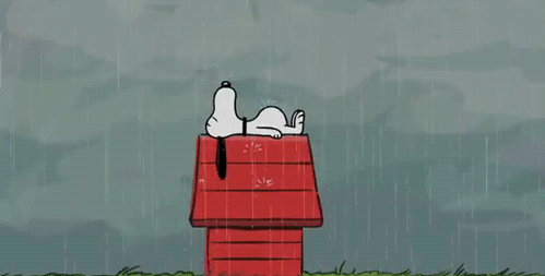1319559595_1.gif