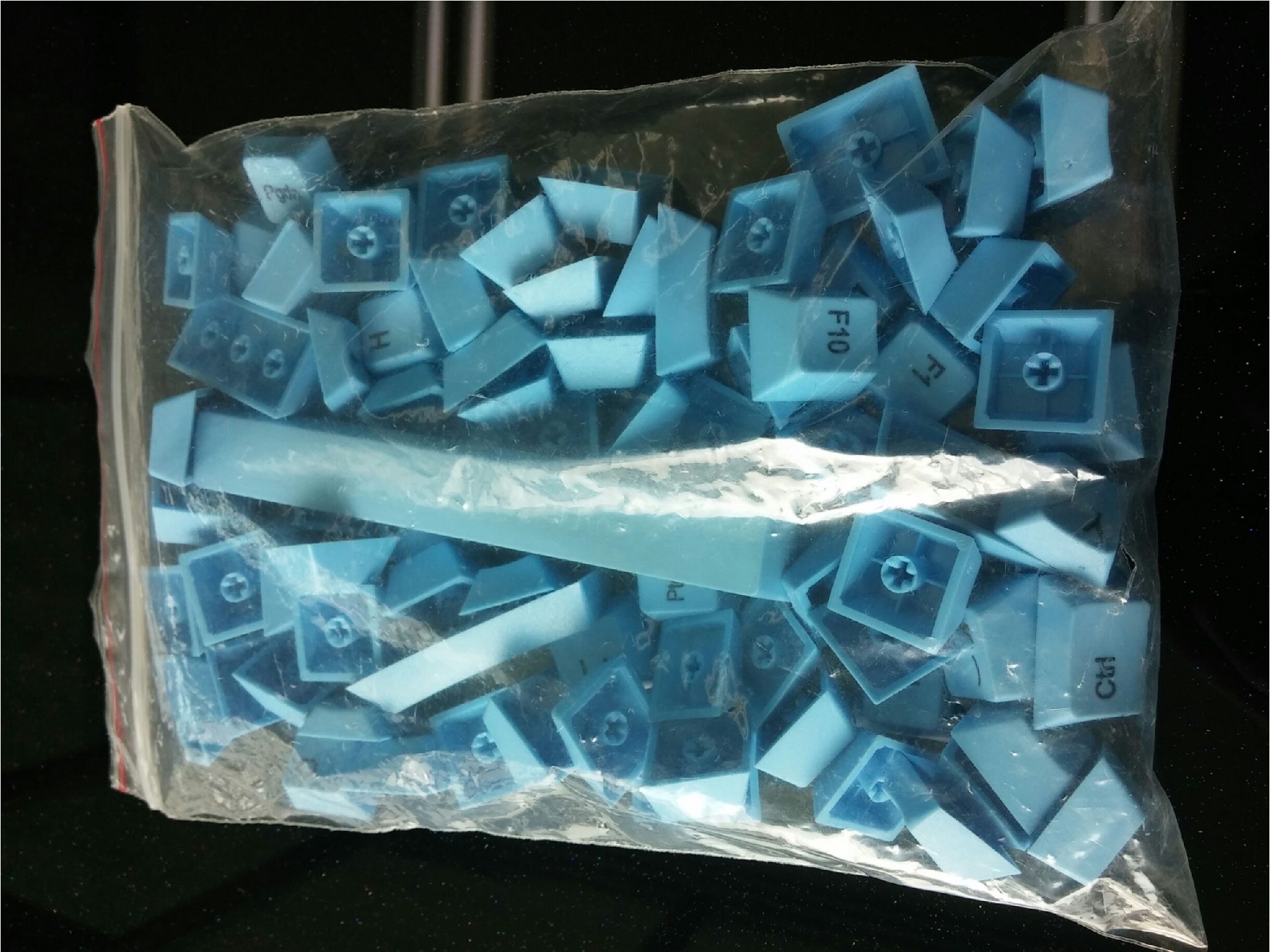 CAM00035-1.jpg