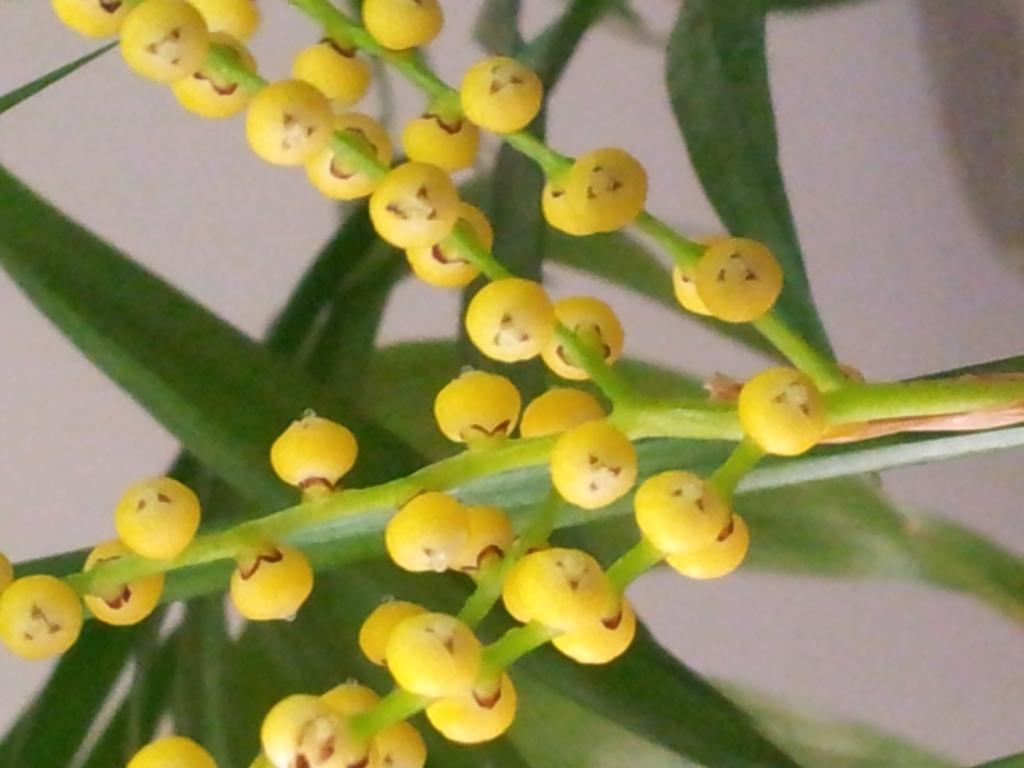 20130524_155815.jpg