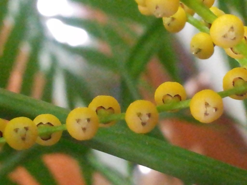 20130524_155707.jpg