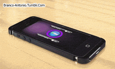 1359953419_55189.gif