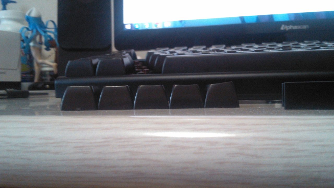 2013-11-09 15.11.50.jpg