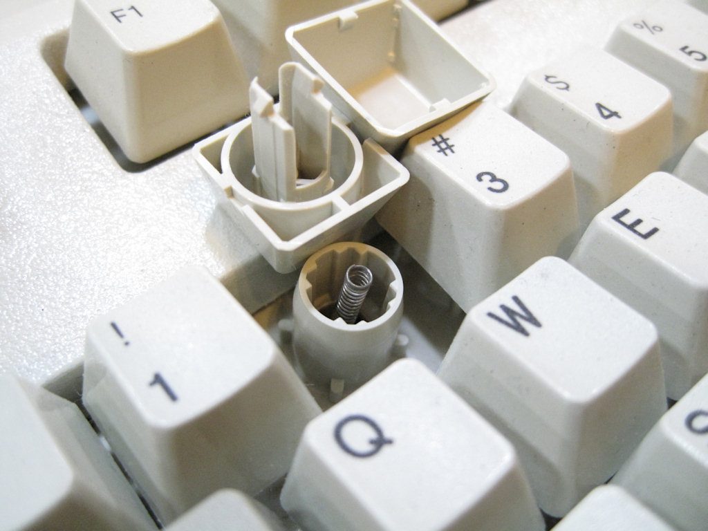 dell2.jpg
