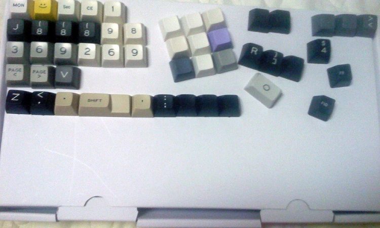 220113**1*11*7326131.jpg