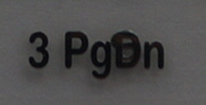 s12.jpg