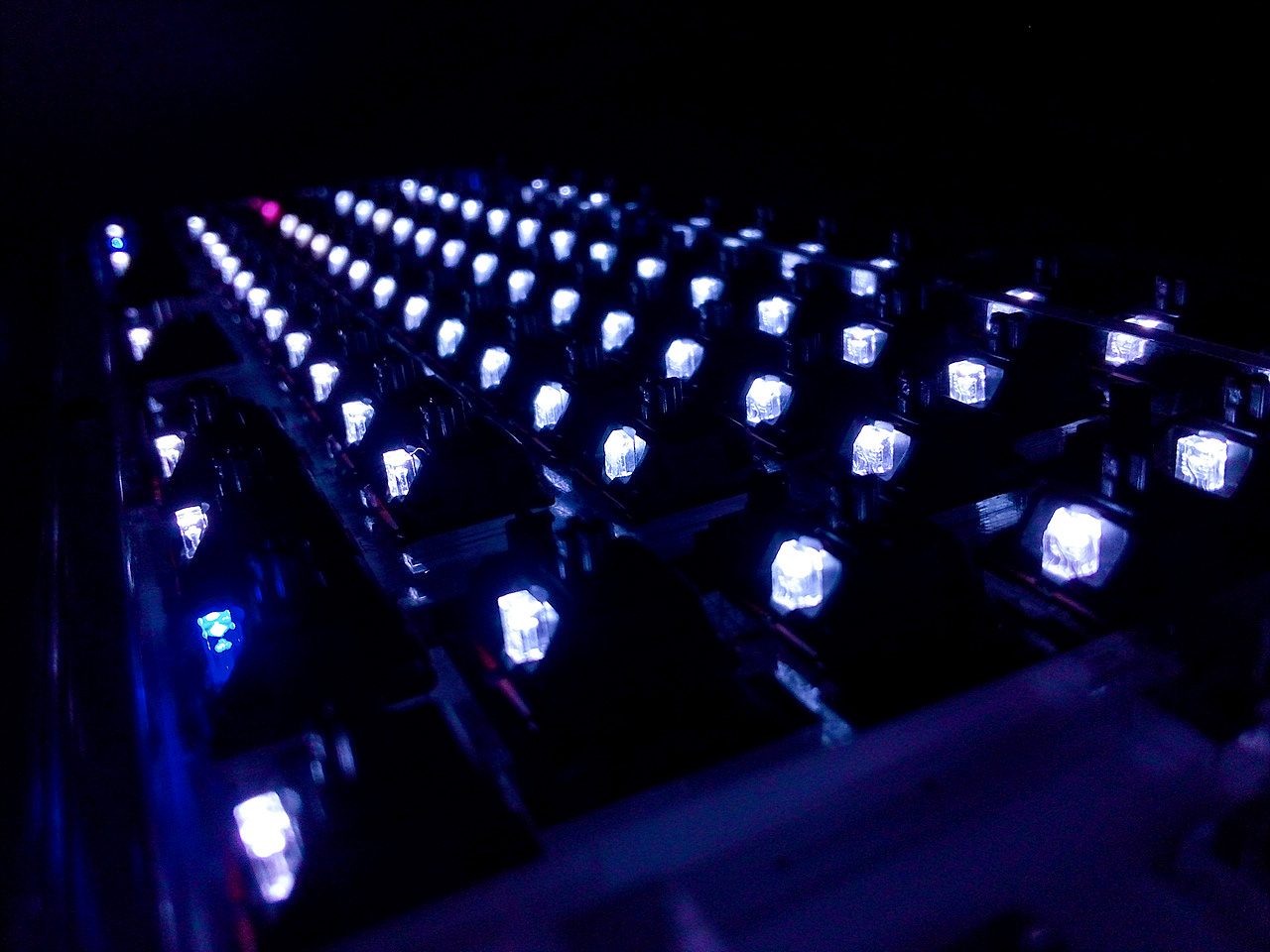 CAM00503.jpg