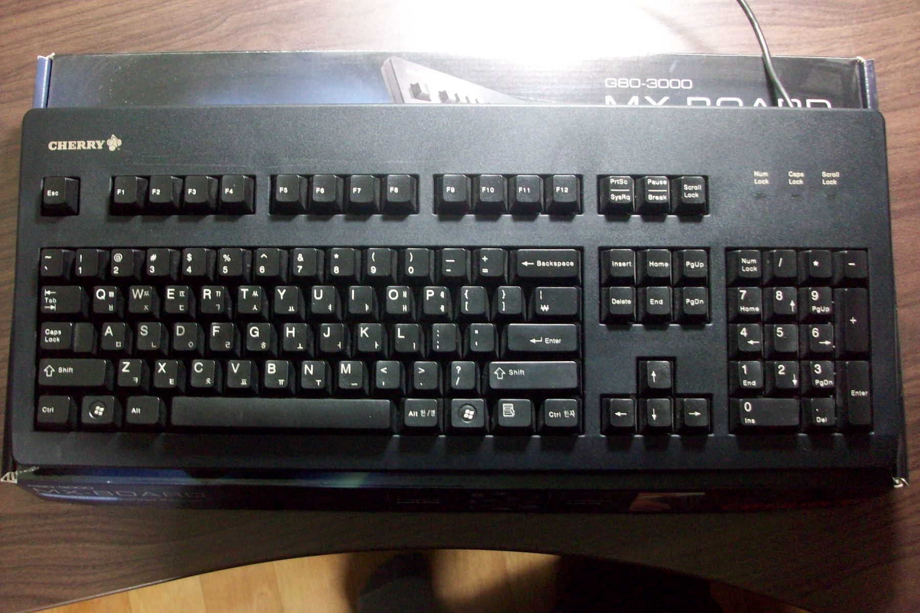 100_3103.JPG