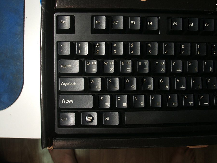DSCF0176.jpg
