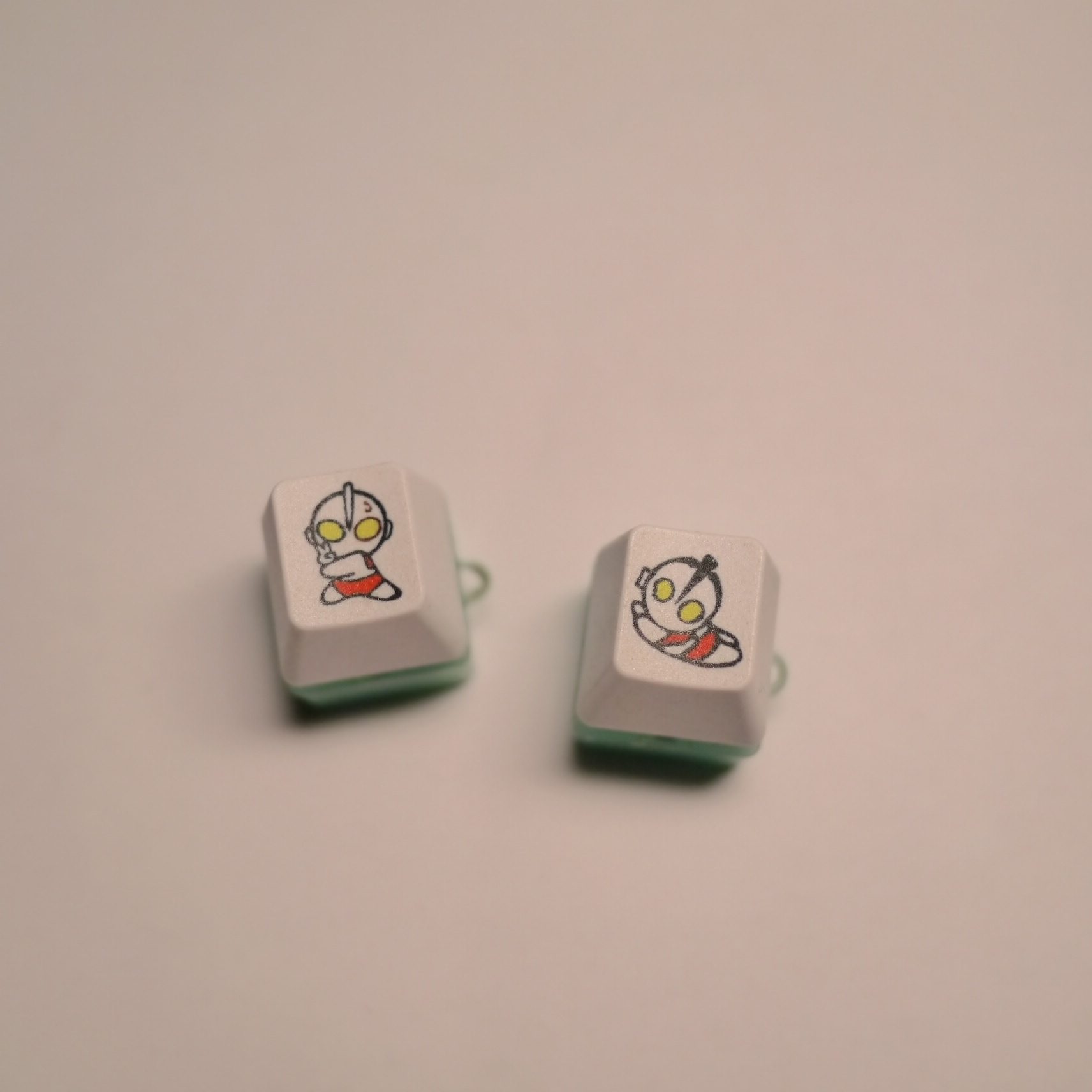 P1060041.JPG