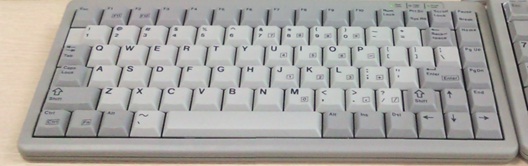 4100.jpg
