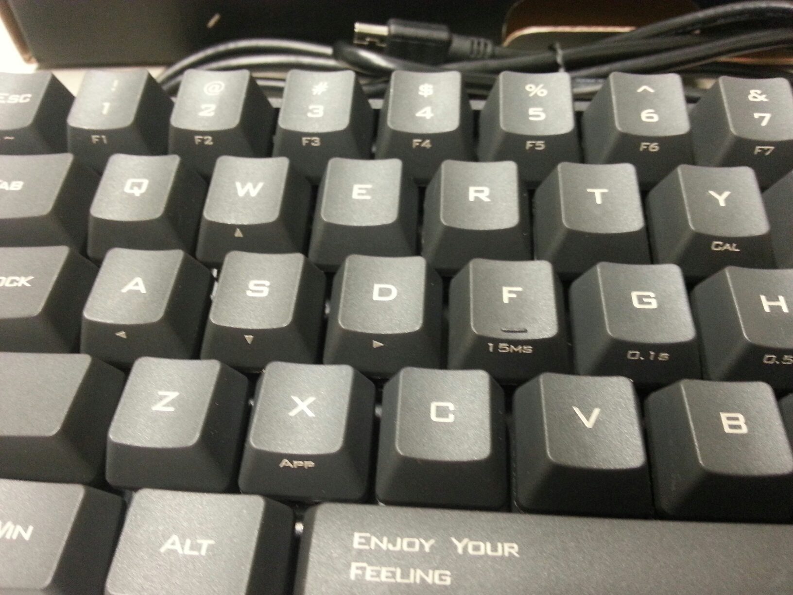 20130906_153508_resized.jpg