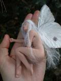 th------fairy.jpg