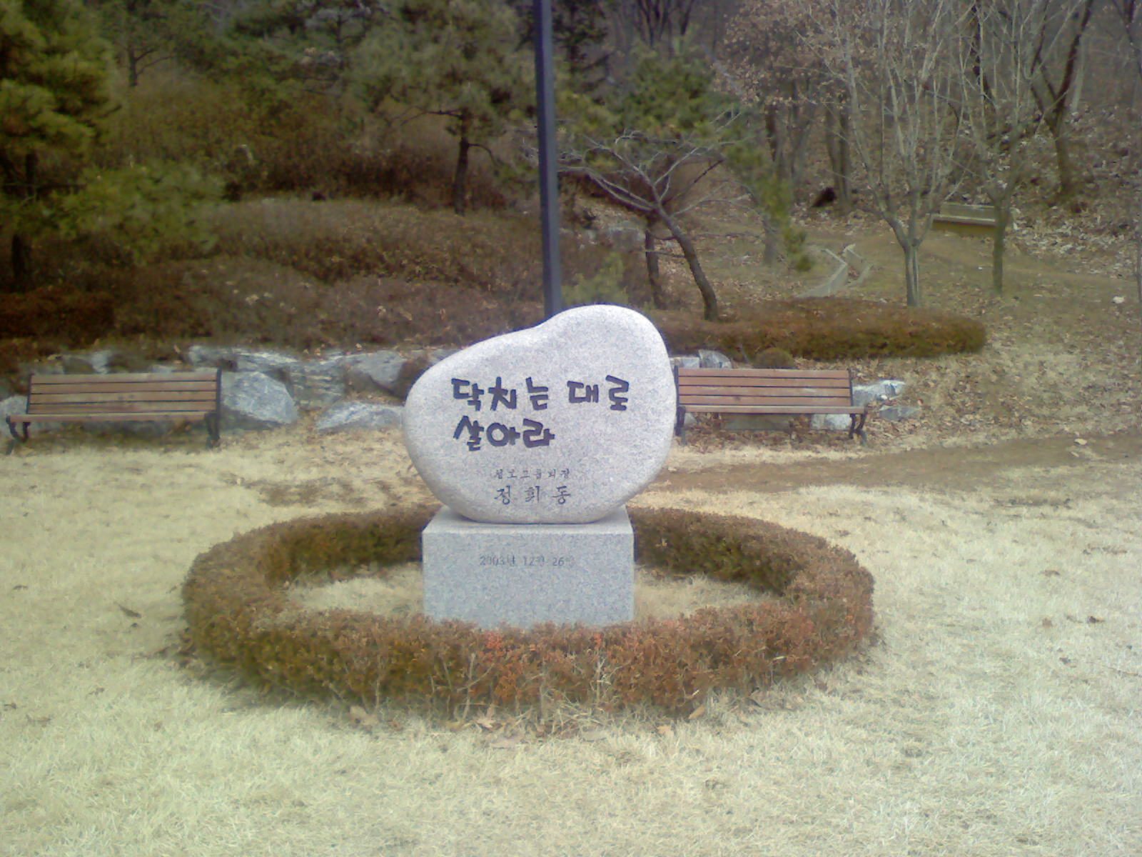 100129_1.jpg