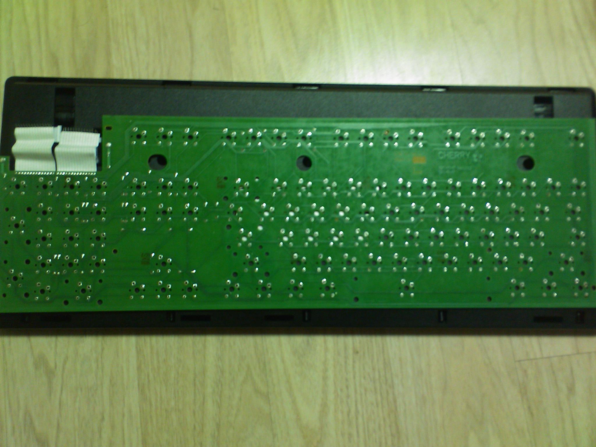 DSC_0088.jpg