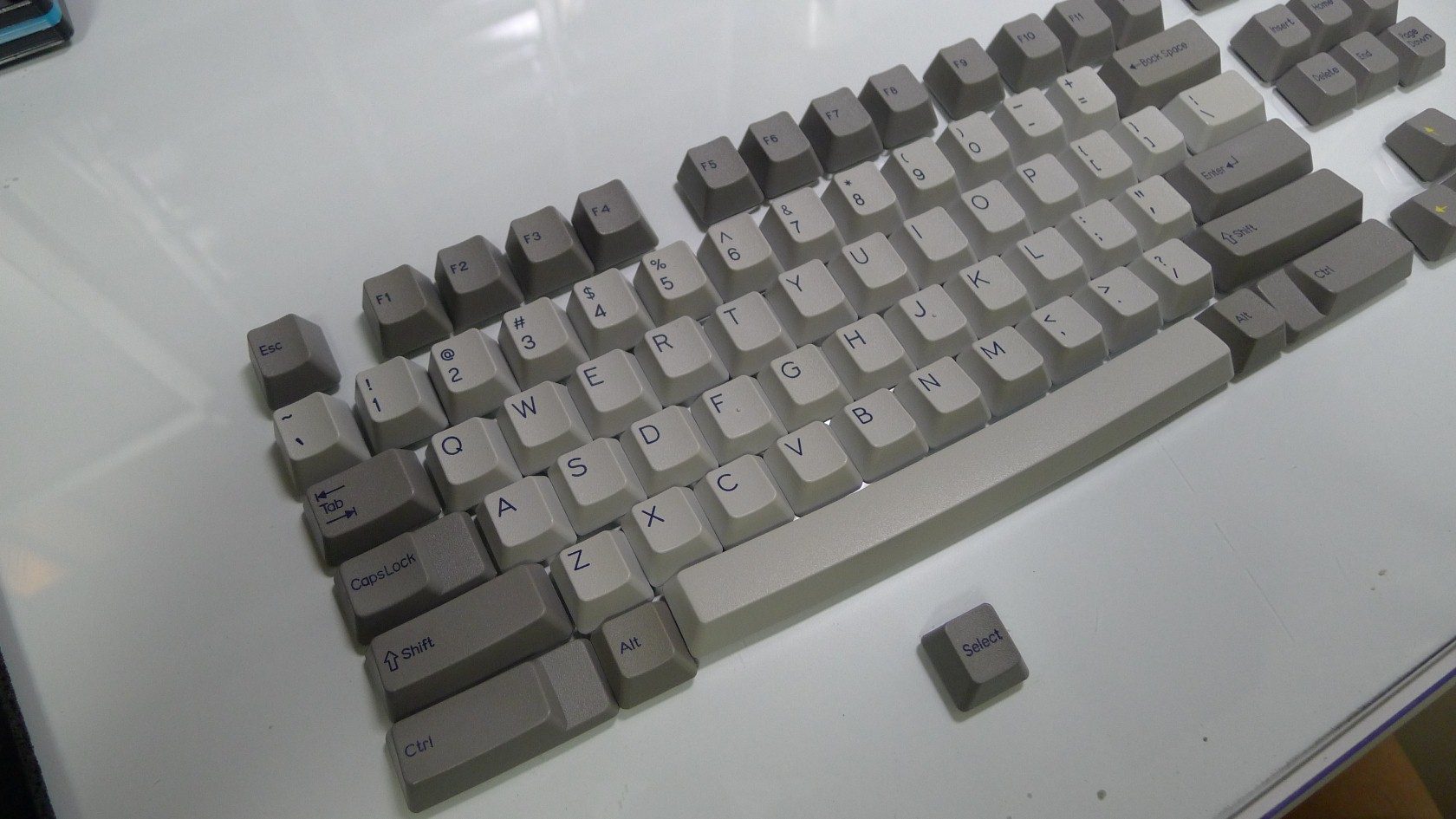 P1020337 (Custom).JPG