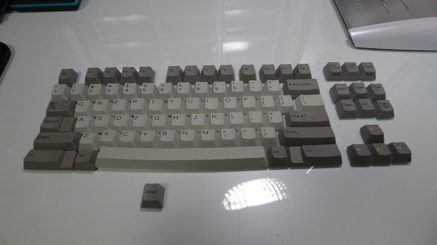 P1020336 (Custom).JPG