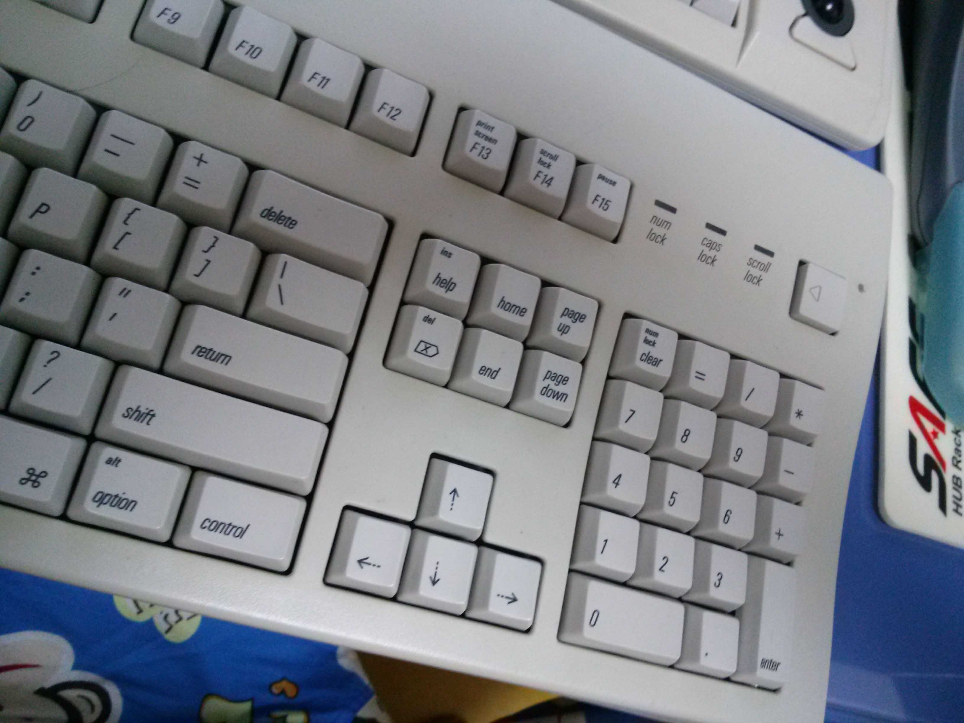 CAM00156.jpg
