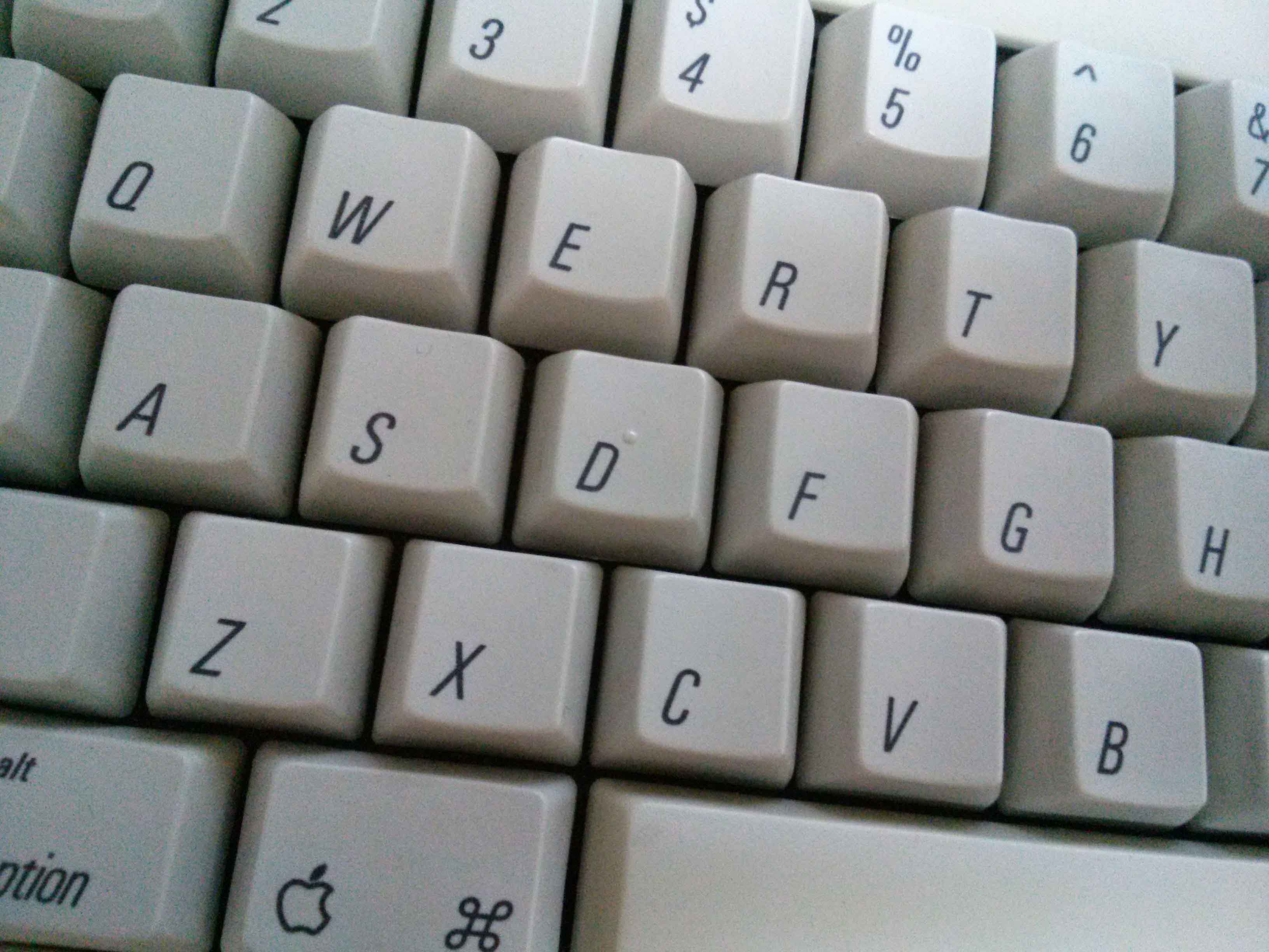 CAM00157.jpg