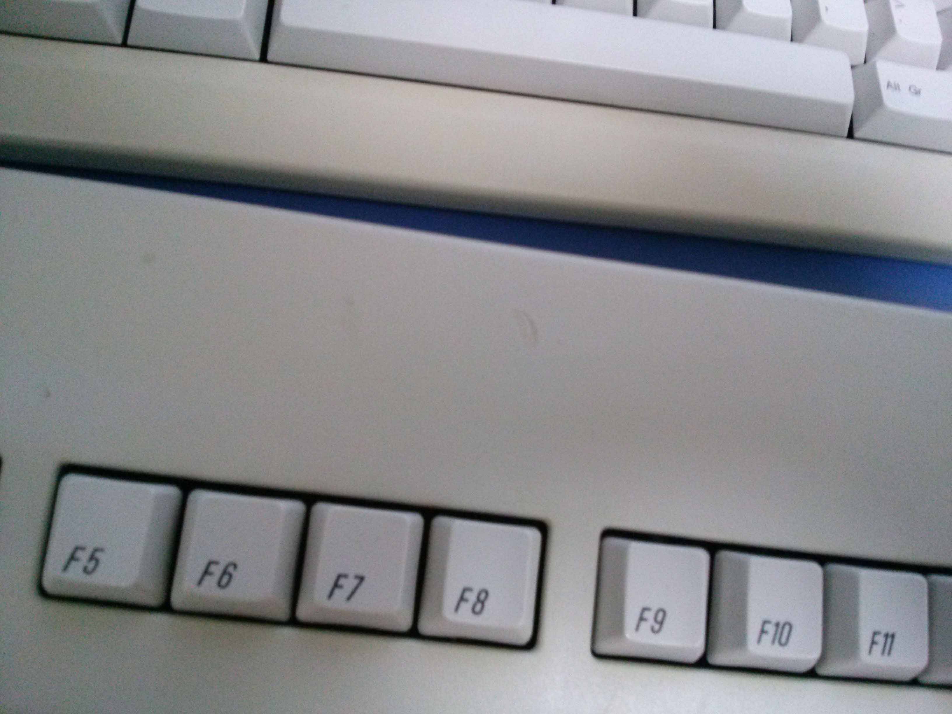 CAM00158.jpg