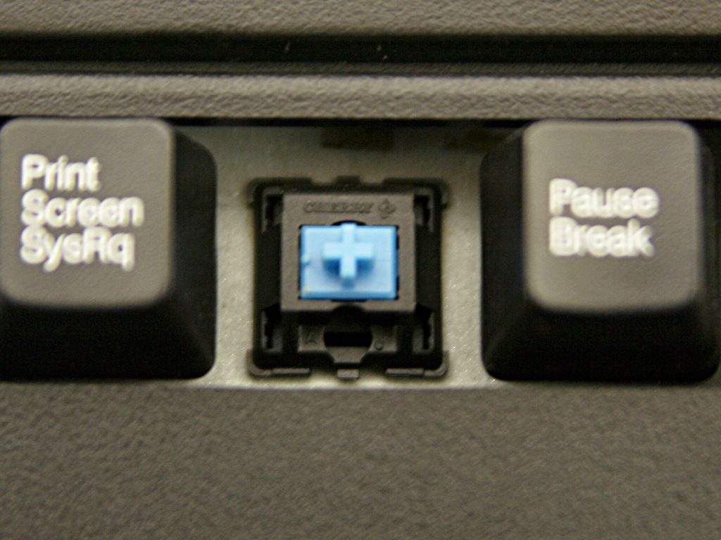 sc03.jpg