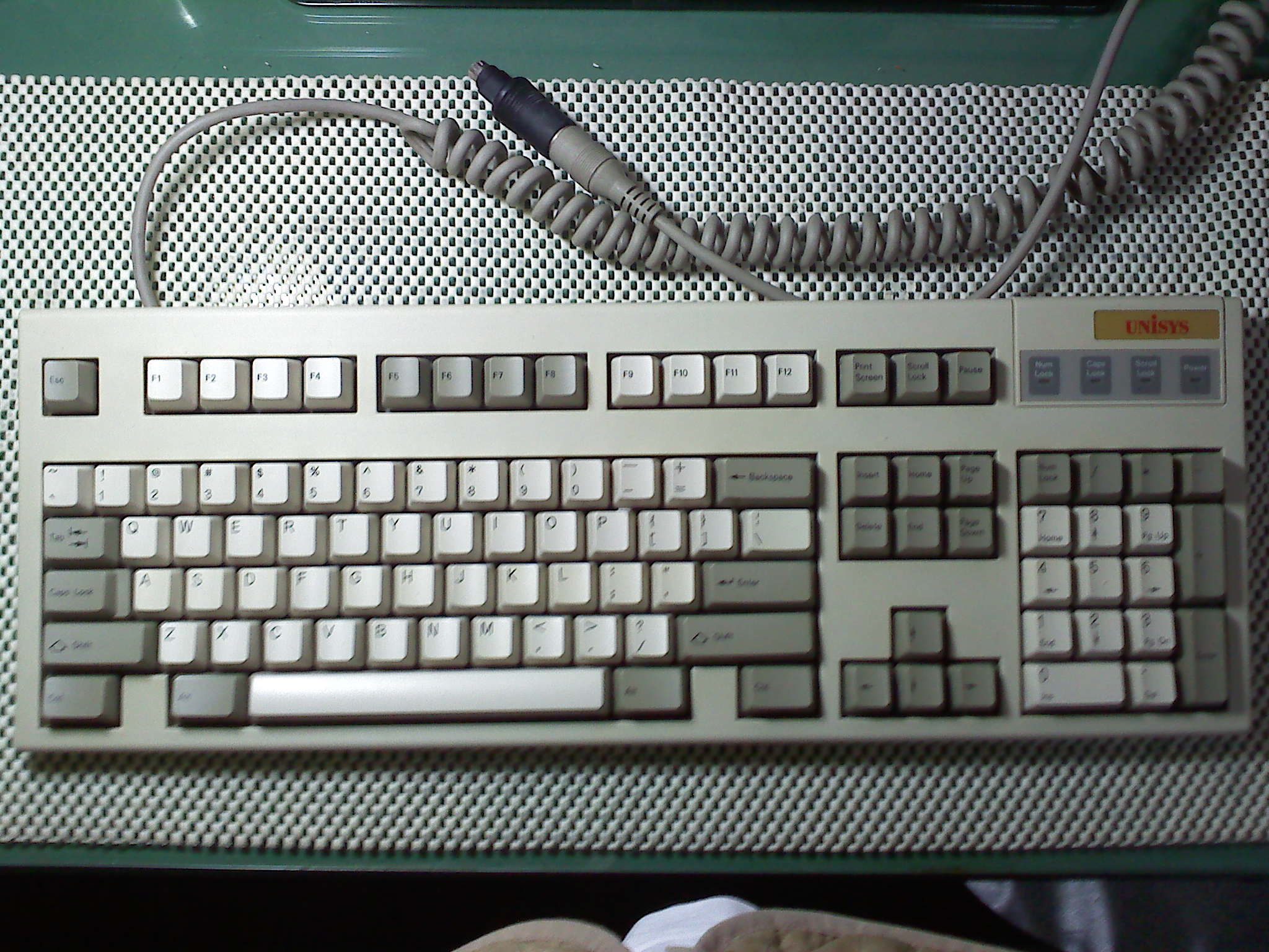 acer1.jpg