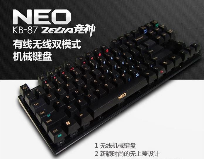 neo87d.JPG