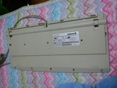 CAM01613.jpg