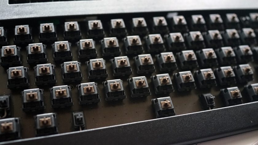 _DSC2016.JPG