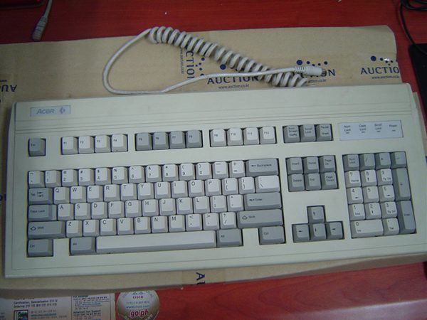 acer.jpg