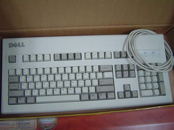 dell.jpg