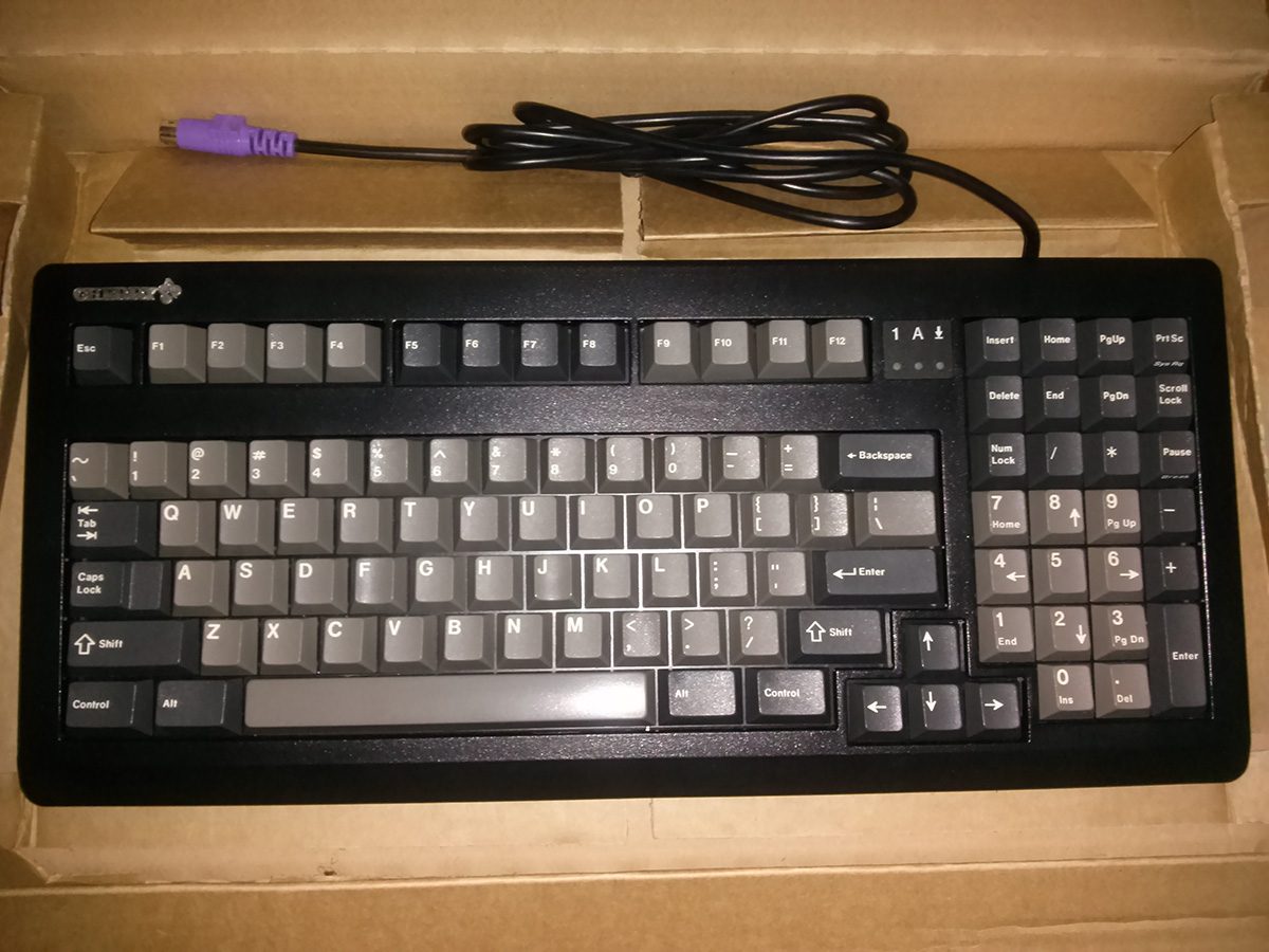 CAM00183s.jpg