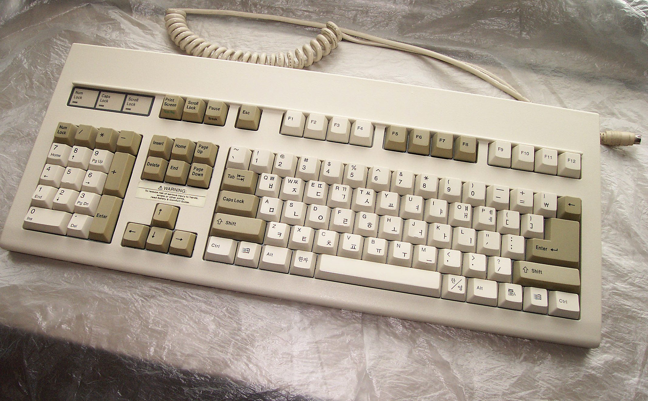 DCP_3459.JPG