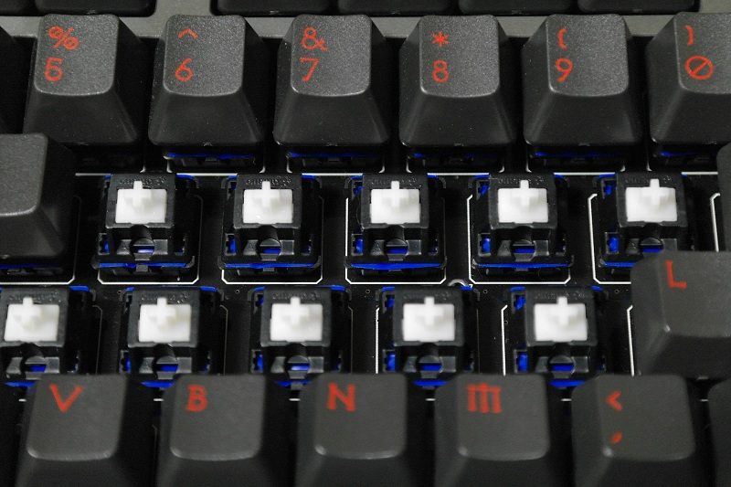 SAM_3464.JPG