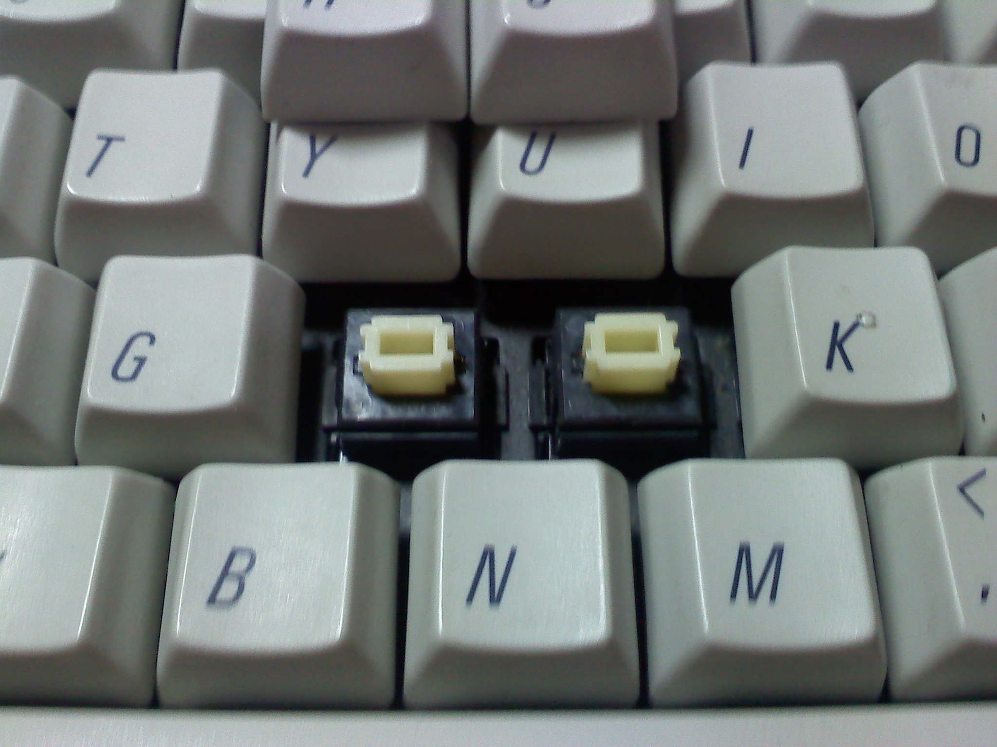 100519_004.jpg