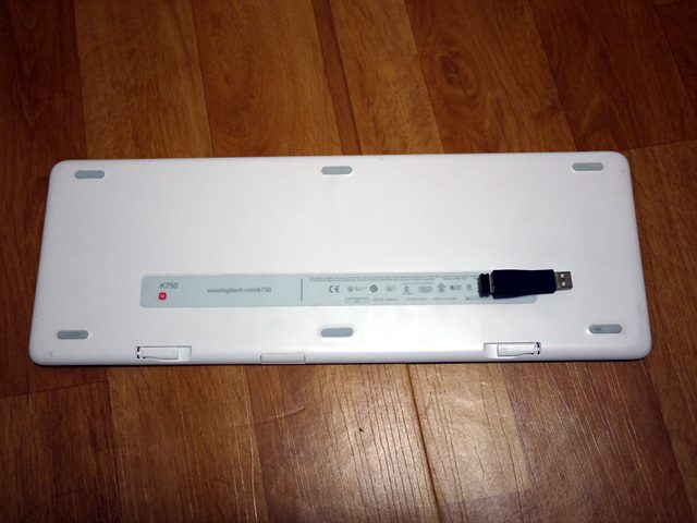 P1010654.jpg
