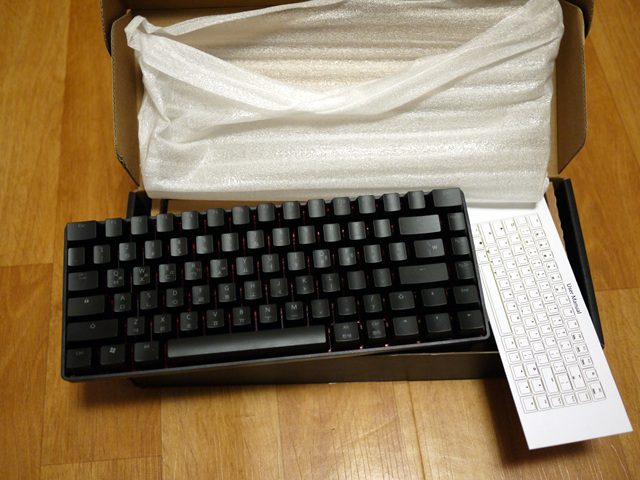 P1010658.jpg